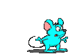 bojící-se-myš.gif